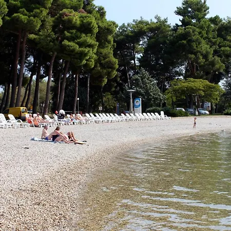 Family Friendly With A Swimming Pool Fratrici, - 14384 Apartment *