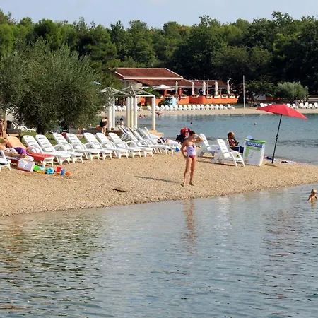 Apartment Family Friendly With A Swimming Pool Fratrici, - 14384
